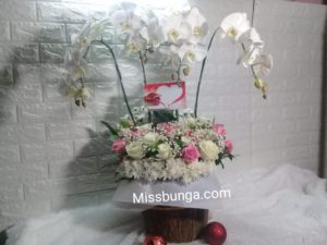 Bunga Valentine Vase Anggrek Mix Mawar